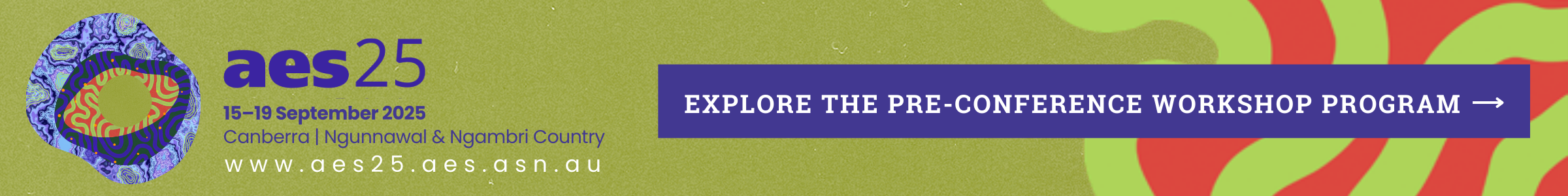 Explore the aes25 pre-conference workshop program