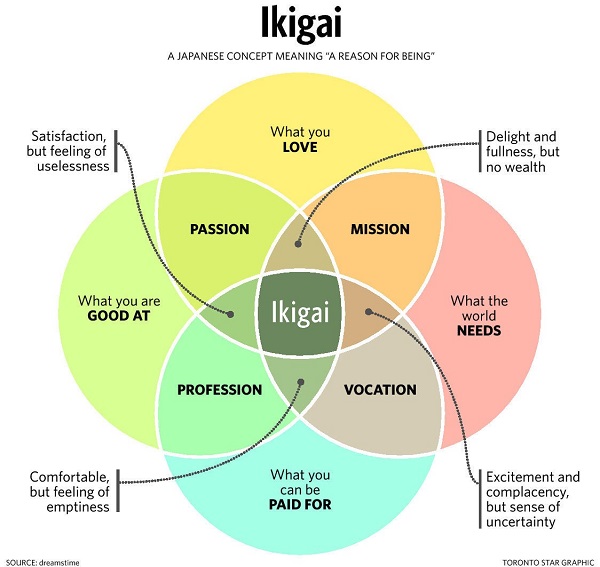 Ikigai PatriciaRogersv2